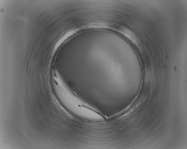 X0000084011325200703022021