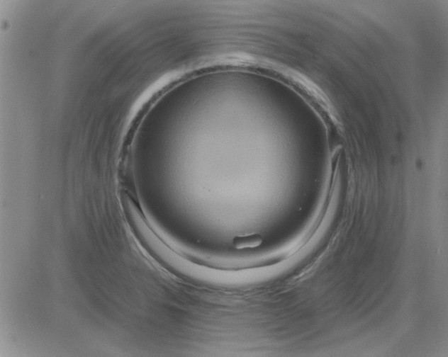 X0000084011326200703022021