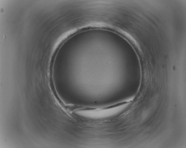 X0000084011327200703022021