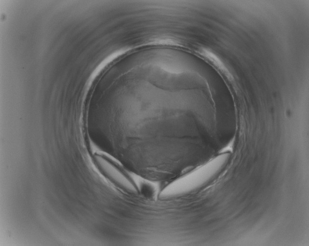 X0000084011331200703022021