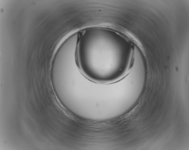 X0000084011332200703022021