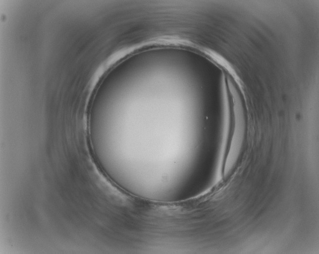 X0000084011335200703022021