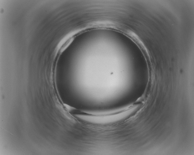 X0000084011336200703022021