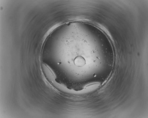 X0000084011338200703022021