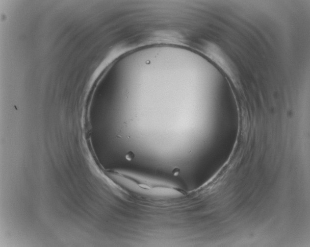 X0000084011339200703022021