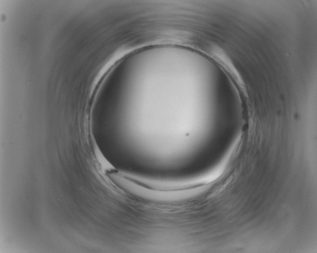 X0000084011340200703022021