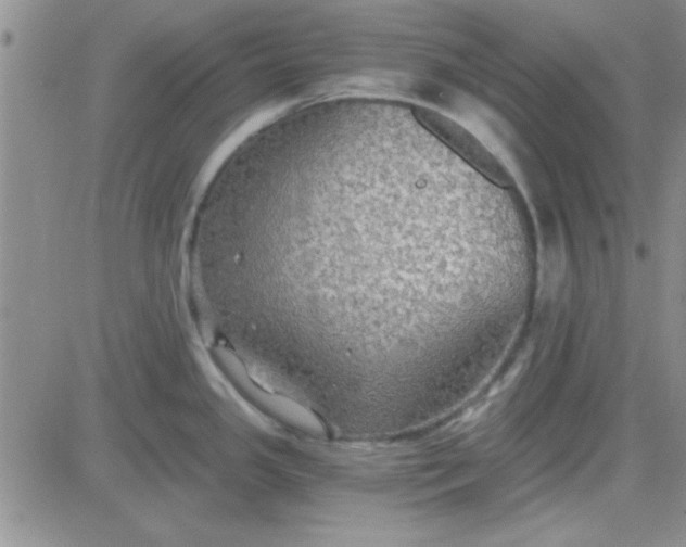 X0000084011341200703022021