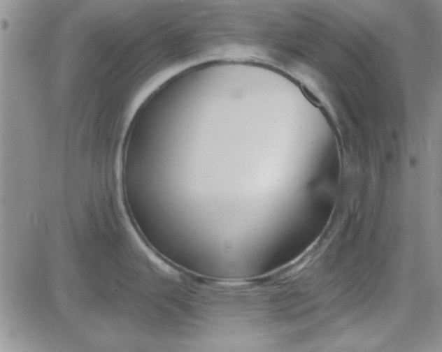 X0000084011343200703022021