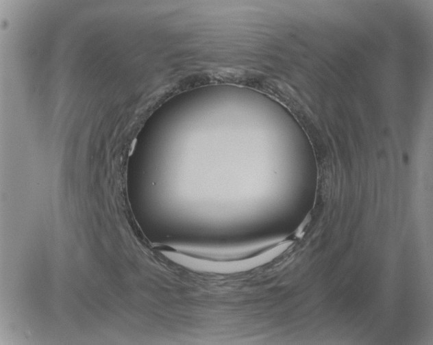 X0000084011345200703022020