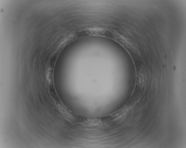 X0000084011346200703022020