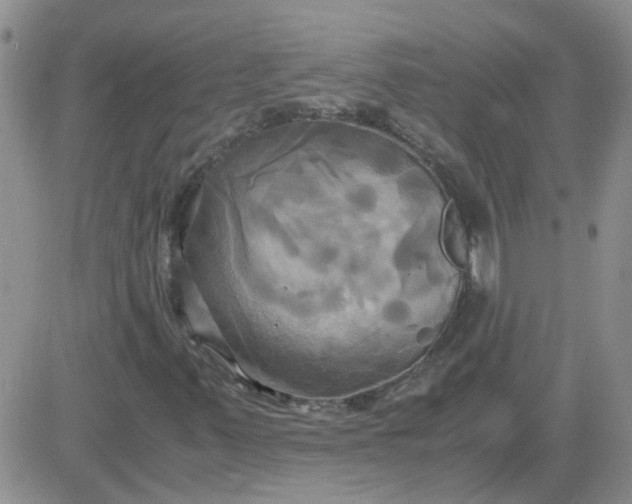 X0000084011347200703022020