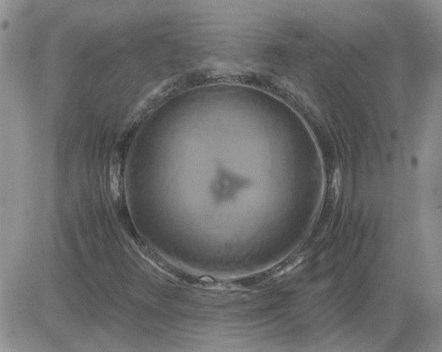 X0000084011348200703022020