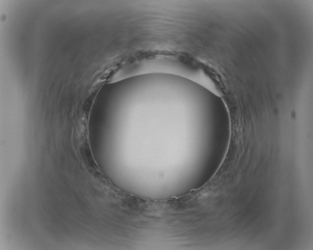 X0000084011349200703022020