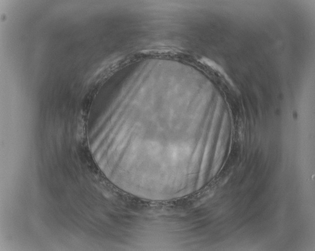 X0000084011350200703022020