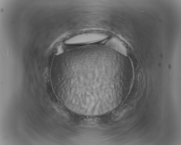 X0000084011351200703022020