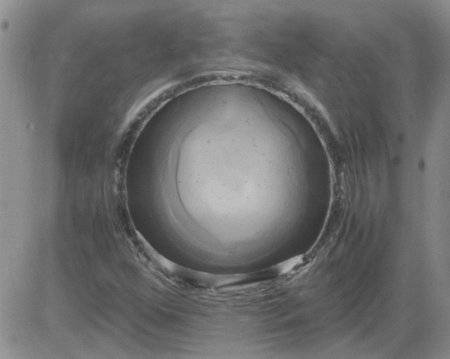 X0000084011352200703022020