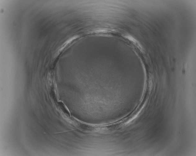 X0000084011353200703022020