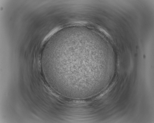 X0000084011354200703022020