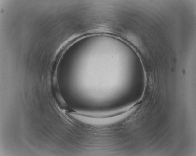 X0000084011356200703022020