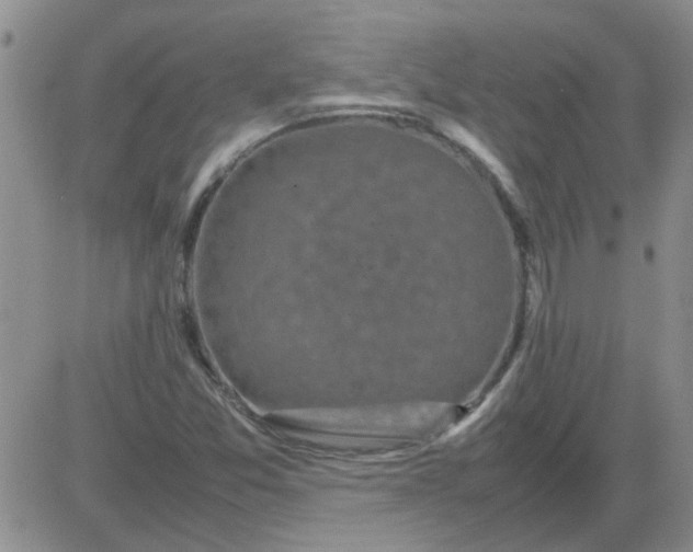 X0000084011357200703022020