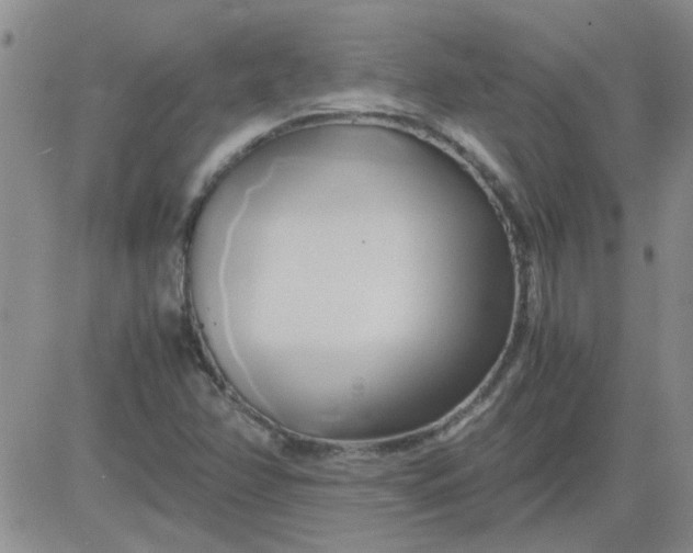 X0000084011358200703022020