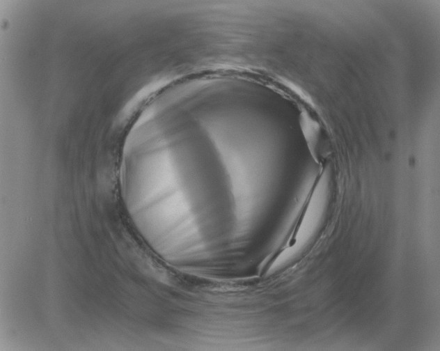 X0000084011359200703022020