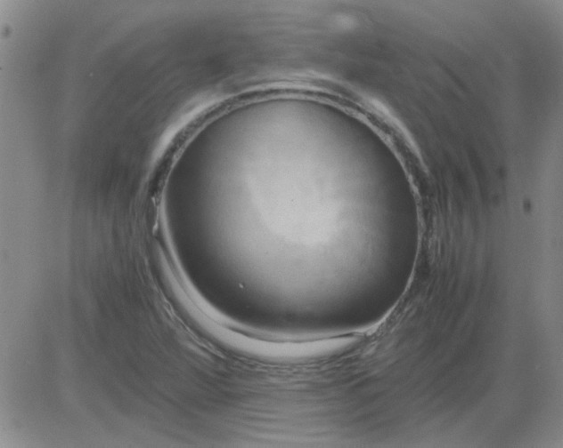 X0000084011360200703022020