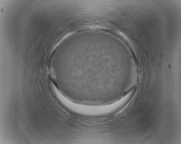 X0000084011361200703022020