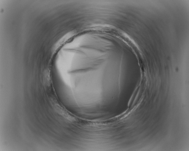 X0000084011362200703022020