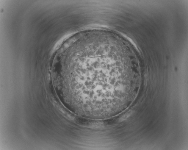 X0000084011363200703022020