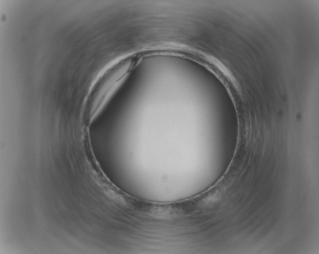 X0000084011364200703022020