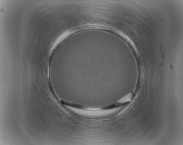 X0000084011365200703022020