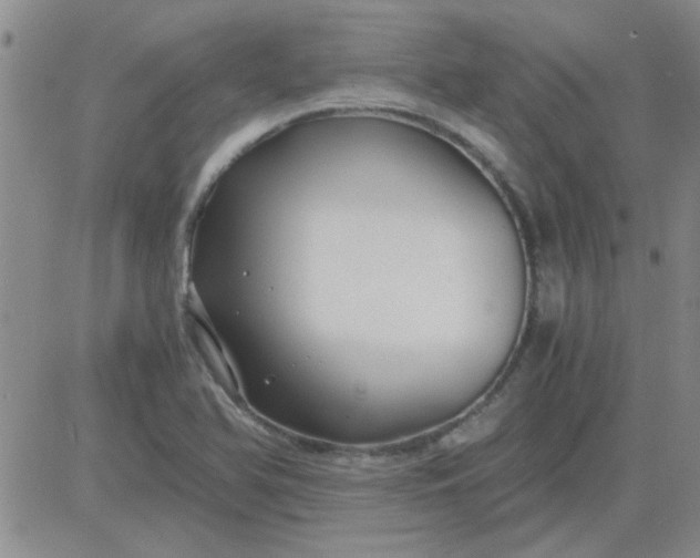 X0000084011366200703022020