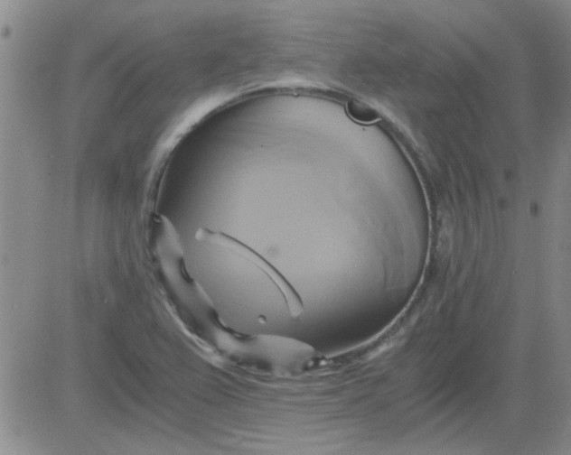 X0000084011367200703022020