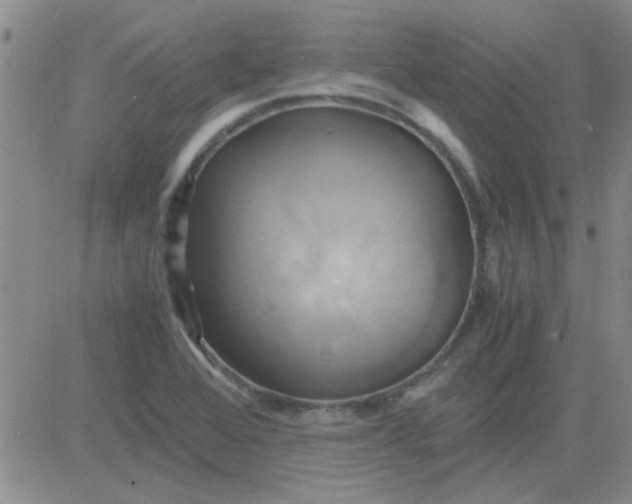 X0000084011368200703022020