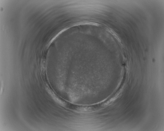 X0000084011369200703022020