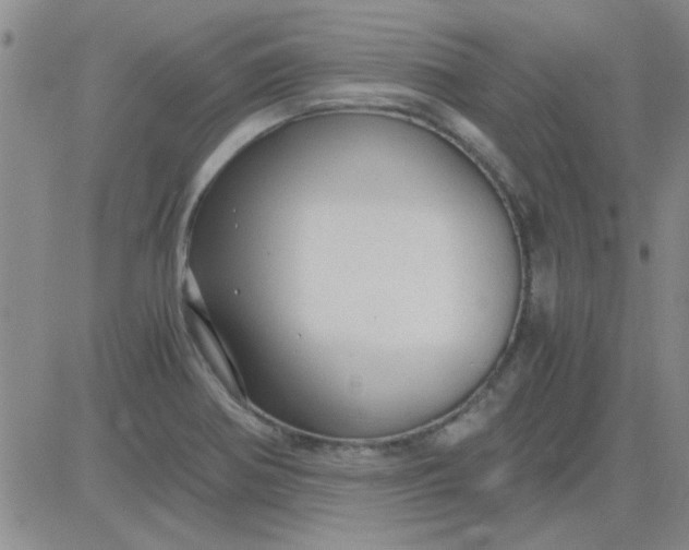 X0000084011370200703022020