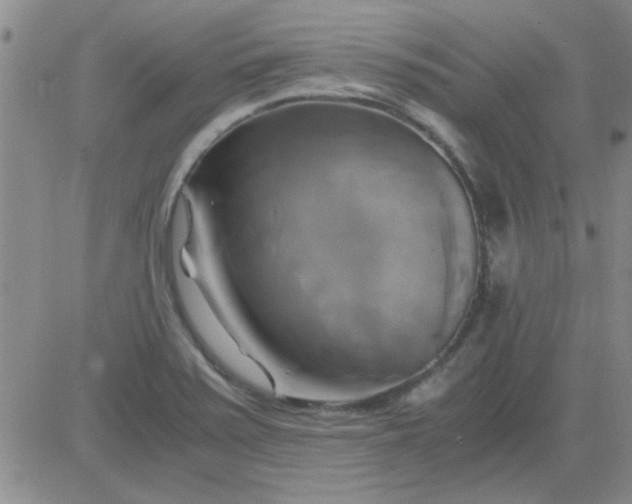 X0000084011371200703022020