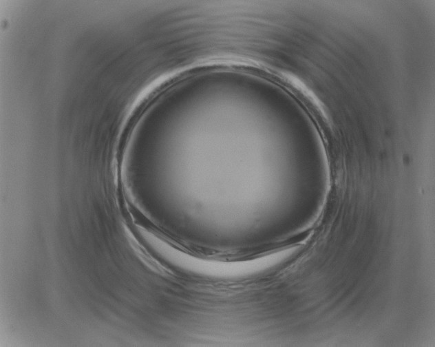 X0000084011372200703022020