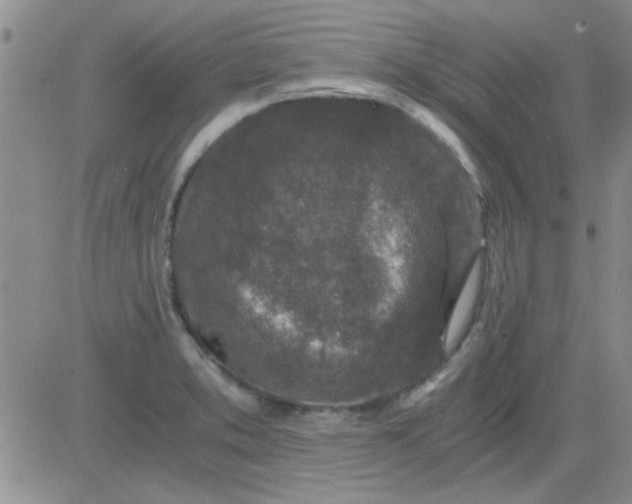 X0000084011373200703022020