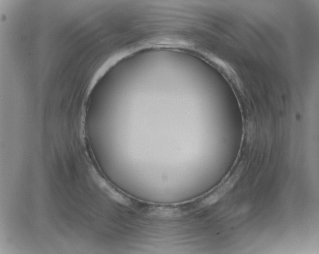 X0000084011374200703022020