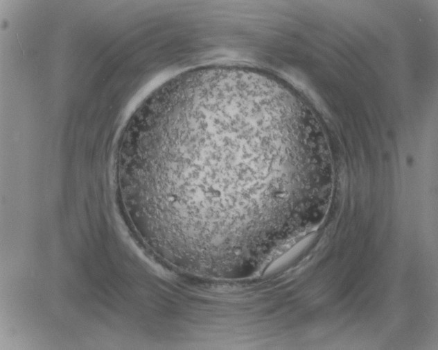 X0000084011375200703022020