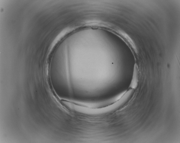 X0000084011376200703022020