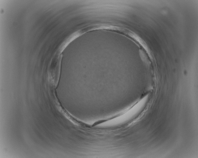 X0000084011377200703022020