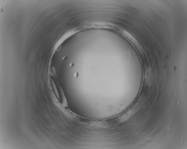 X0000084011378200703022020