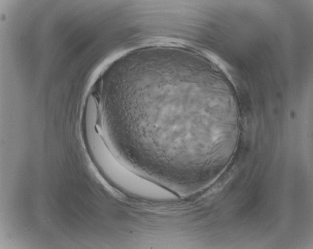 X0000084011379200703022020