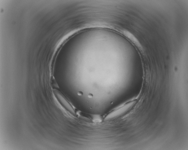 X0000084011380200703022020