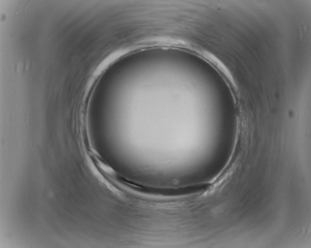 X0000084011381200703022020