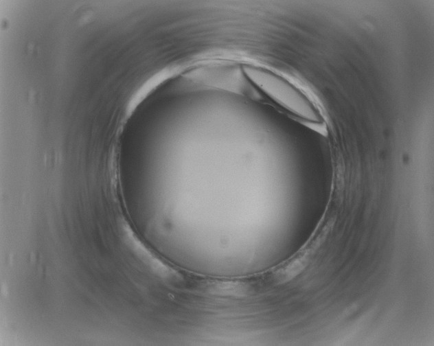 X0000084011382200703022020