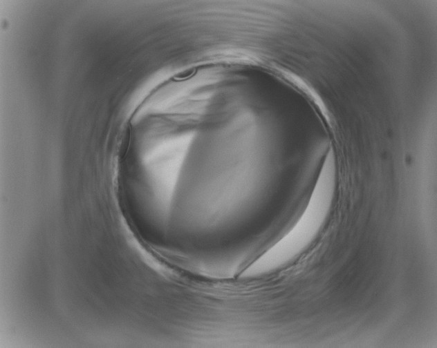 X0000084011383200703022020